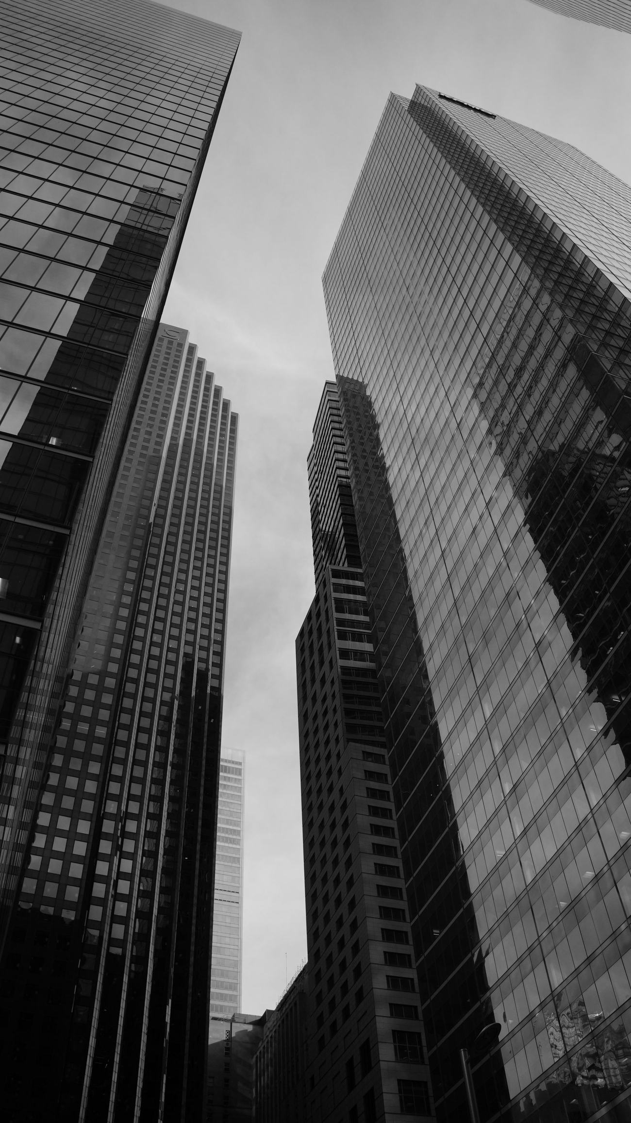 Glass office towers rising over Toronto's financial district